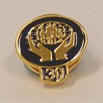 Lapel Pin - Gold 30 Year Classic