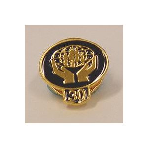 Lapel Pin - Gold 30 Year Classic