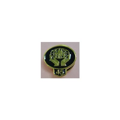 Lapel Pin - Gold 45 Year Classic